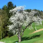 Bauernhof Schilcher Apartamento