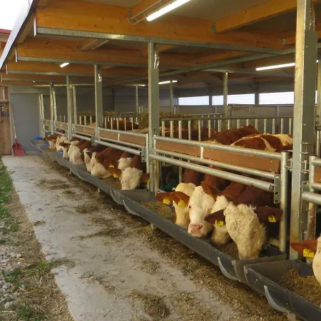 דירה Bauernhof Schilcher *