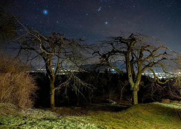 Bauernhof Schilcher Apartment *