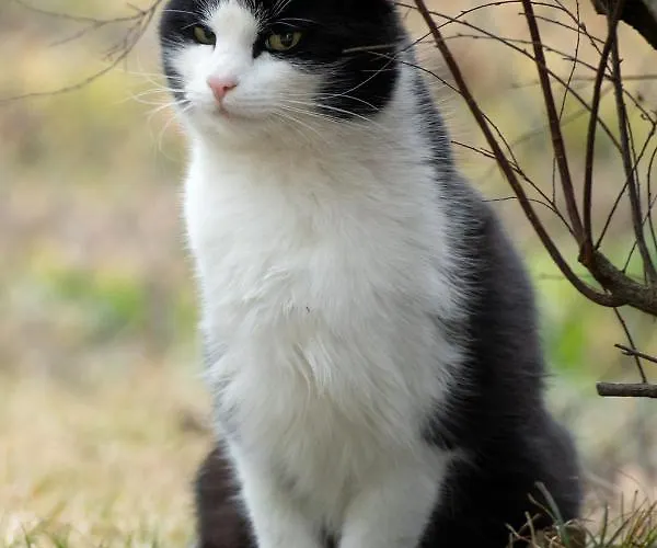 Apartment Bauernhof Schilcher