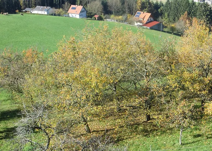 Bauernhof Schilcher Apartment