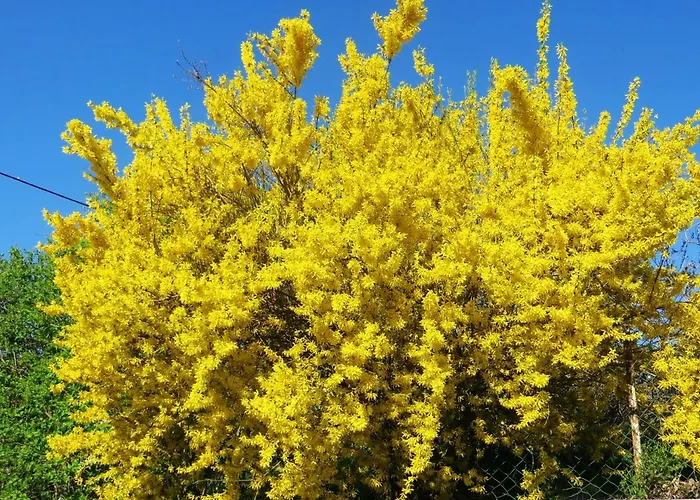 아파트 Bauernhof Schilcher 상트스테판