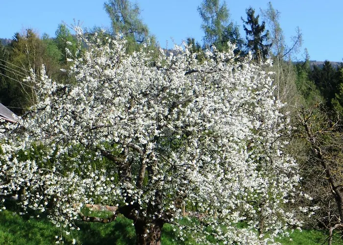 Bauernhof Schilcher *