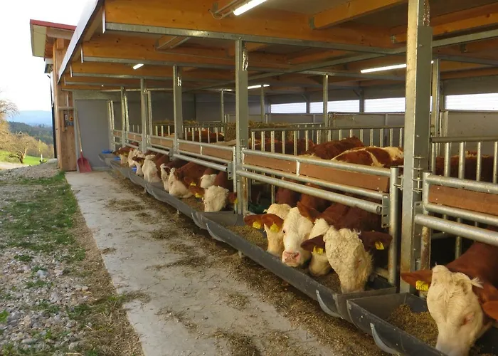 דירה Bauernhof Schilcher *